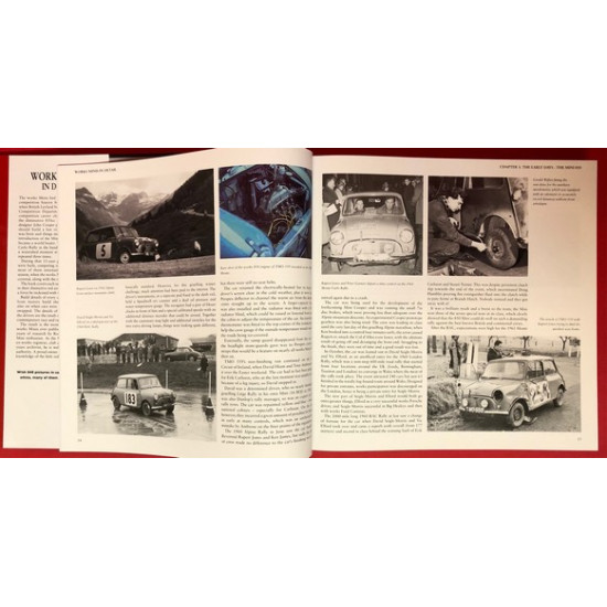 Works Minis In Detail