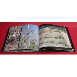 Speedway - Auto Racing's Ghost Tracks 