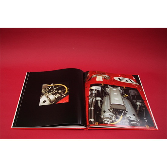 Cavalleria No 6: Ferrari 375 Plus