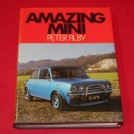Amazing Mini