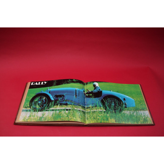 The Survivors Series The Survivors Series