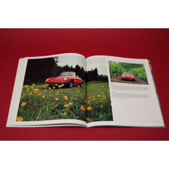 Alfa Romeo Spider 