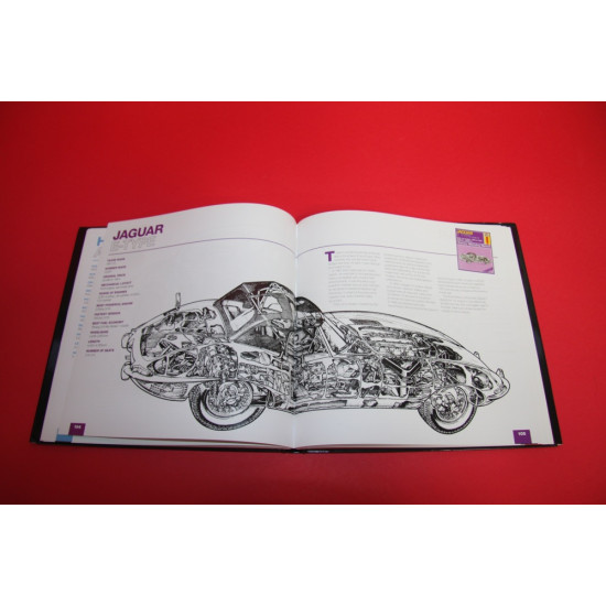 The Classic Cutaway The Classic Cutaway